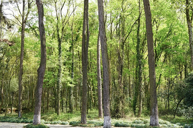 微信圖片_20240401154350